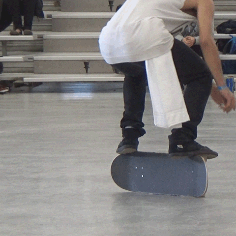 File:Kangaroo Flip.gif