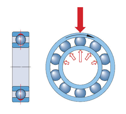File:Radial Load Distribution.jpg